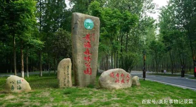 2024年7月鷹米講解助力黃海森林公園黨建展廳-打造沉浸式紅色課堂